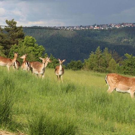 Lovely Apartment In The Black Forest วิลลิงเงน-ชเวนนิงเงน ภายนอก รูปภาพ