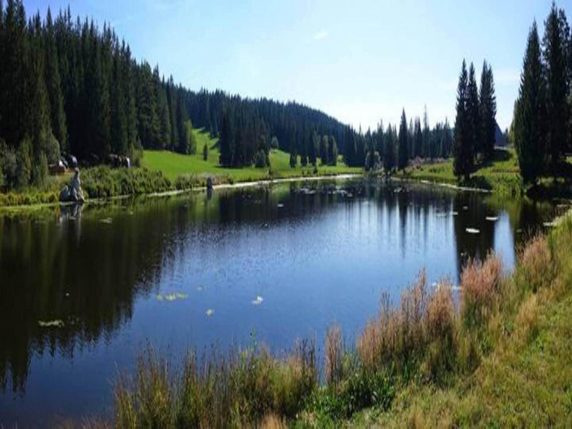 Lovely Apartment In The Black Forest วิลลิงเงน-ชเวนนิงเงน ภายนอก รูปภาพ