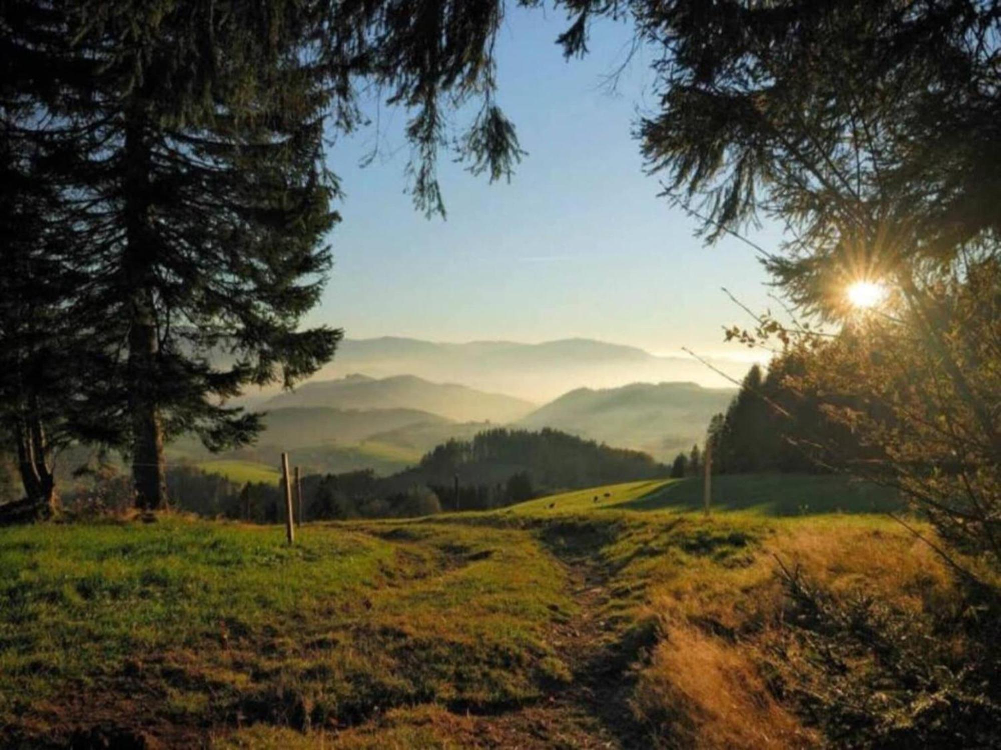 Lovely Apartment In The Black Forest วิลลิงเงน-ชเวนนิงเงน ภายนอก รูปภาพ