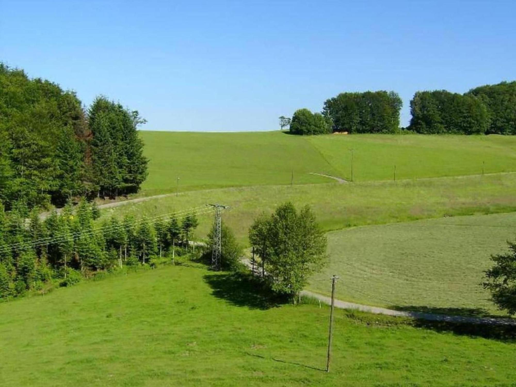Lovely Apartment In The Black Forest วิลลิงเงน-ชเวนนิงเงน ภายนอก รูปภาพ