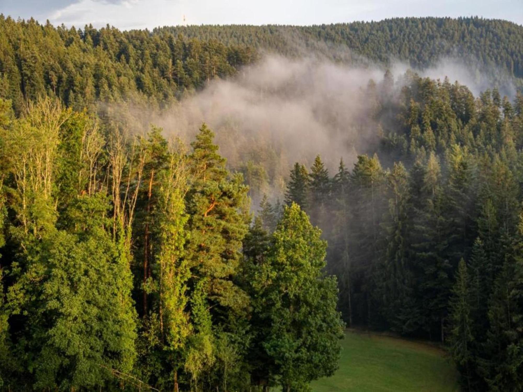 Lovely Apartment In The Black Forest วิลลิงเงน-ชเวนนิงเงน ภายนอก รูปภาพ