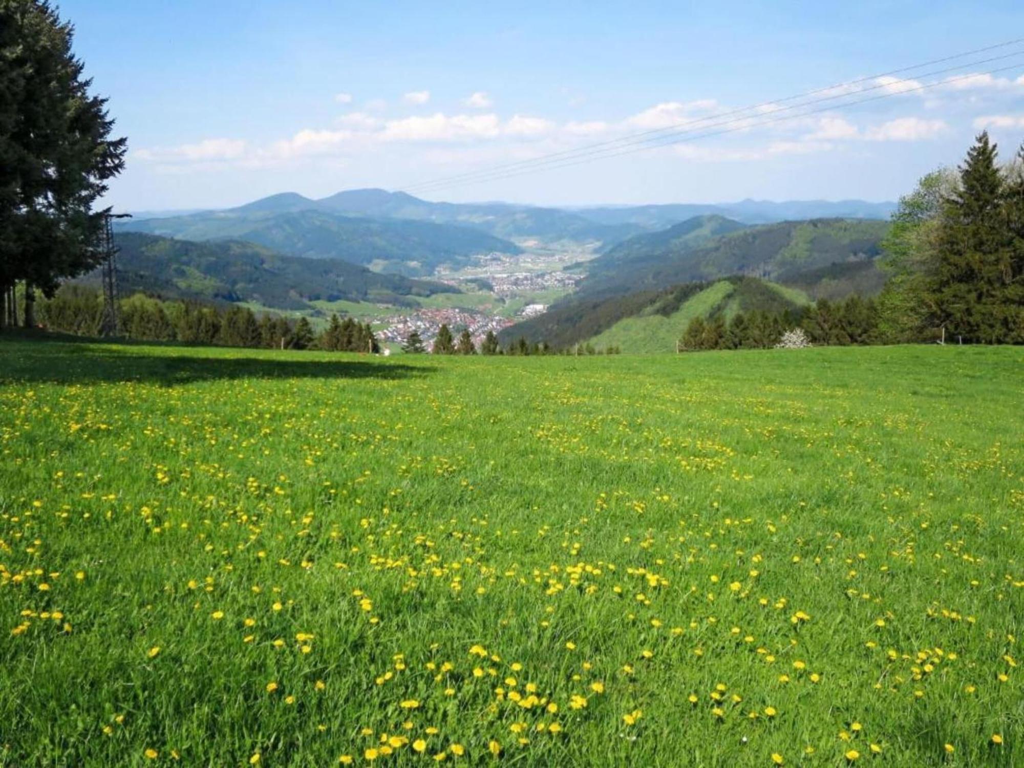 Lovely Apartment In The Black Forest วิลลิงเงน-ชเวนนิงเงน ภายนอก รูปภาพ