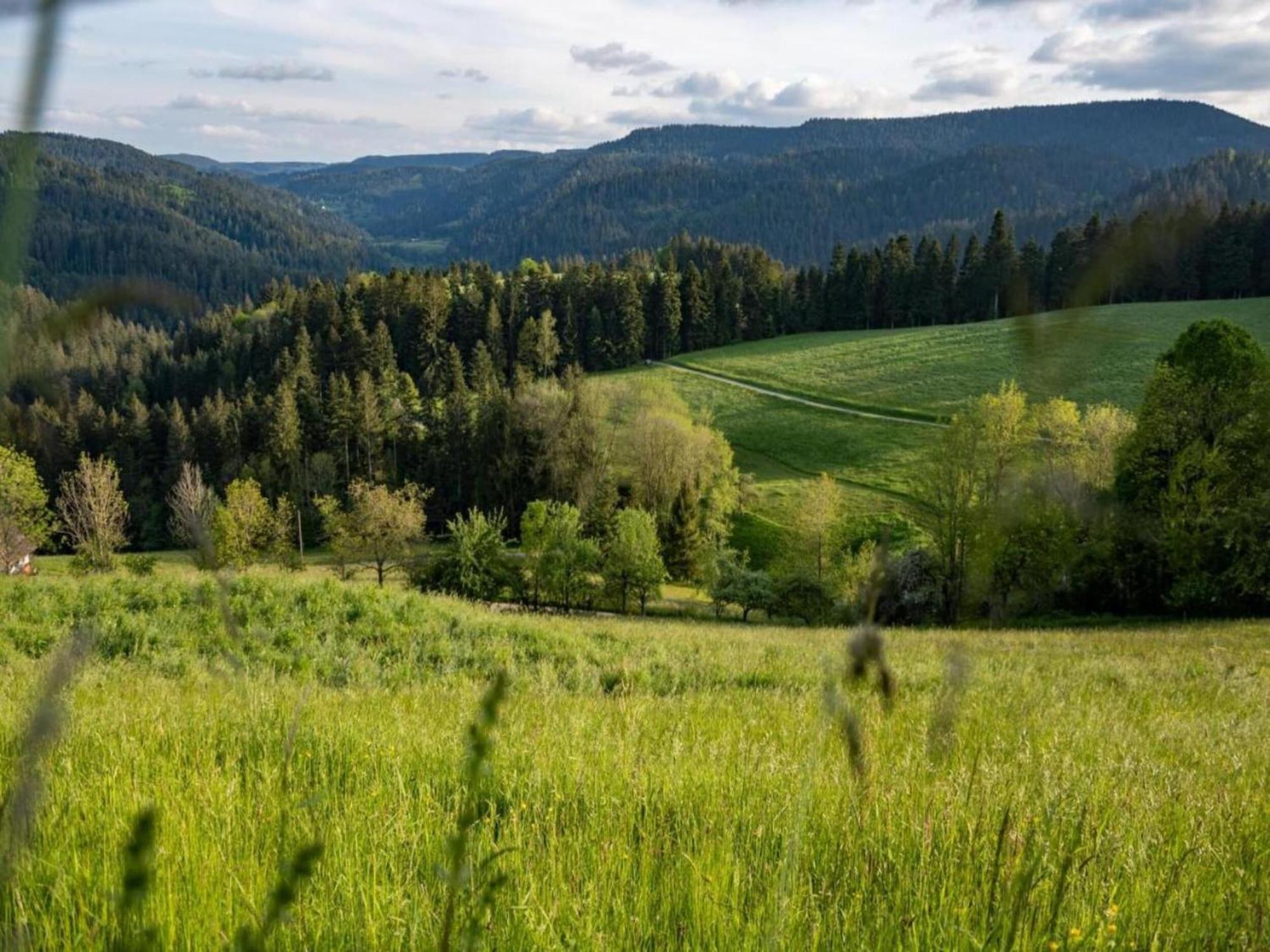 Lovely Apartment In The Black Forest วิลลิงเงน-ชเวนนิงเงน ภายนอก รูปภาพ