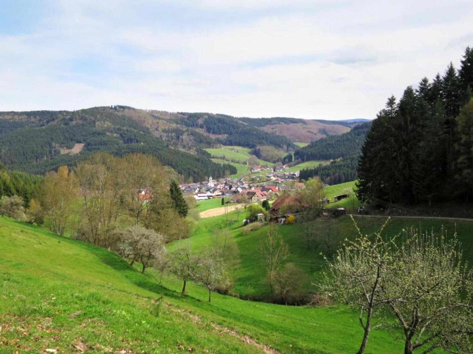 Lovely Apartment In The Black Forest วิลลิงเงน-ชเวนนิงเงน ภายนอก รูปภาพ