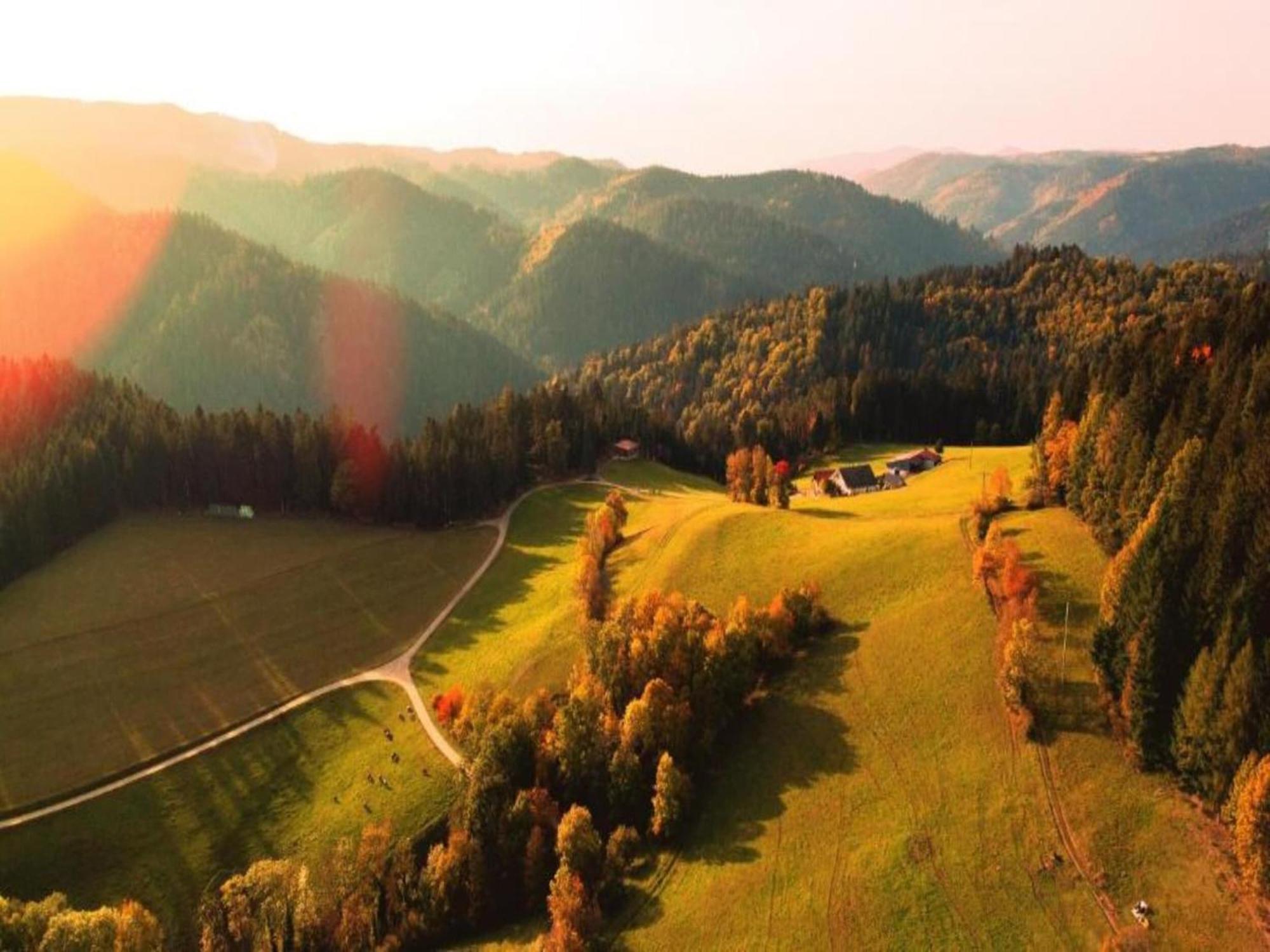 Lovely Apartment In The Black Forest วิลลิงเงน-ชเวนนิงเงน ภายนอก รูปภาพ